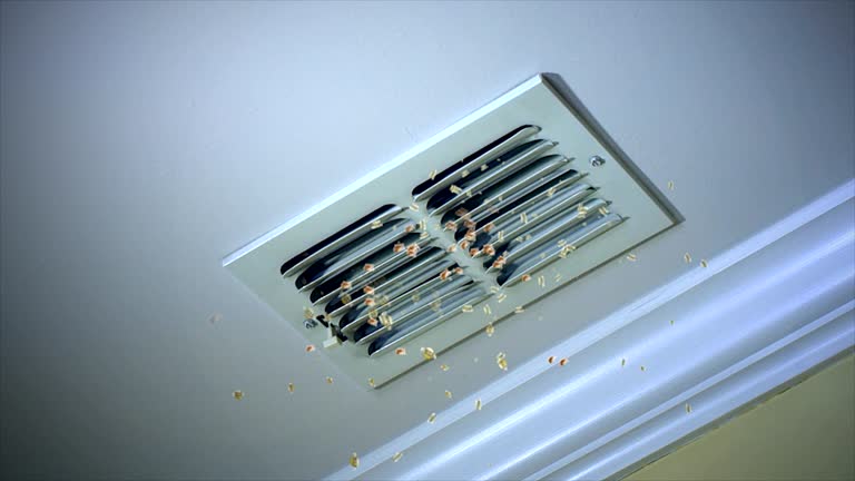 Best Air Duct Cleaning Near Me  in New Haven, MI