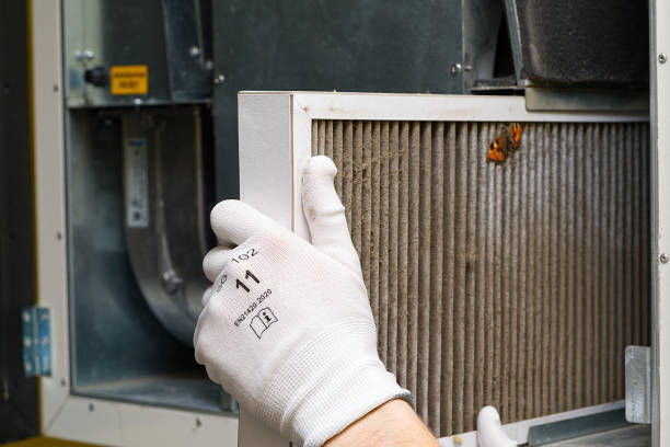Best Air Duct Cleaning Near Me  in New Haven, MI