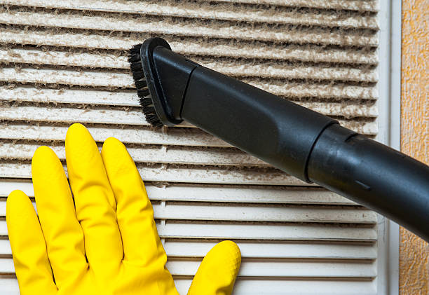 Best Ductwork Cleaning Services  in New Haven, MI